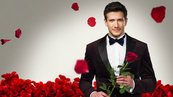 #1 Bachelor Czech Republic