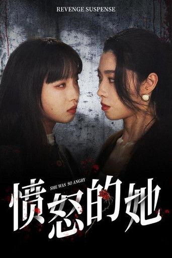 愤怒的她 poster