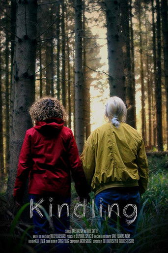 Kindling poster
