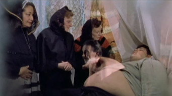 Escena 3 de Sorrowful Shadow