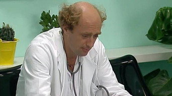 Muha iz Španije