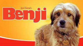 #6 Benji
