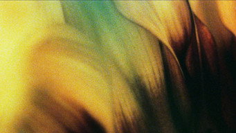 Glide of Transparency (2016)
