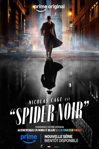 Spider-Noir — affiche alternative