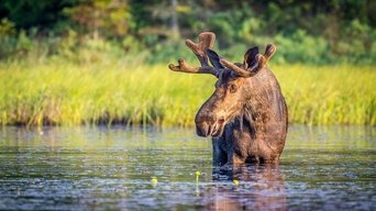 Autumnwatch New England - S1E01