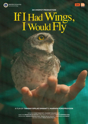 ถ้าฉันมีปีก ฉันจะบินไปในท้องนภา