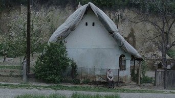 Гикавка (2002)