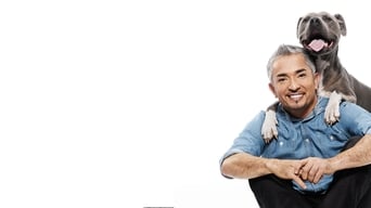 #7 Dog Whisperer with Cesar Millan