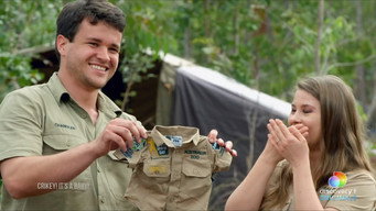Crikey! It's a Baby!