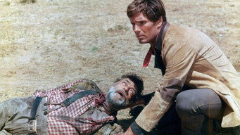 #4 Fort Yuma Gold