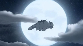 #6 Avatar Spirits