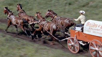Escena 1 de Chuckwagon