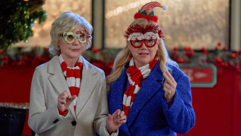 Holiday Mismatch (2024)