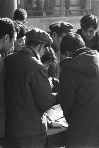 Film of Stars Group Activities