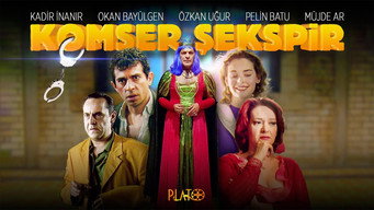 #1 Commissioner Shakespeare