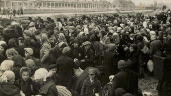 Auschwitz - One Day (2020)