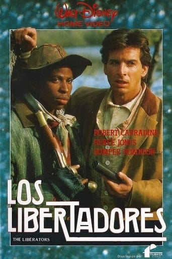 Poster of The Liberators