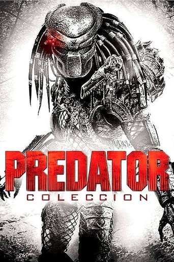 Predator - Colección
