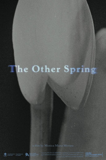 The Other Spring