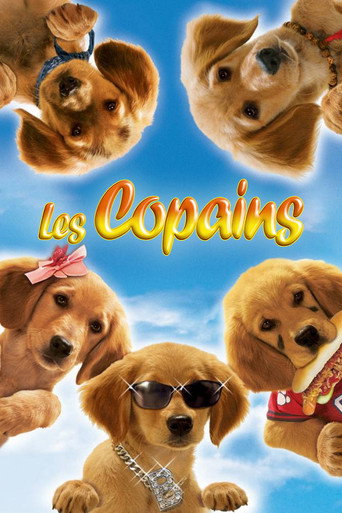 Affiche de Les Copains - Saga