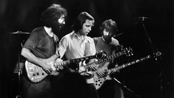 #9 The Grateful Dead