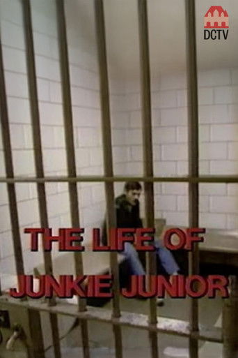 The Story of Junkie Junior poster 2
