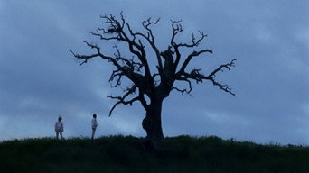 Lost and Beautiful (2015)