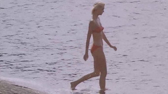 Holidays by the Sea (1987)