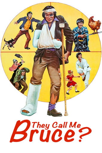 Affiche du film Appelez-moi Bruce