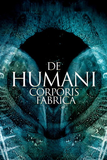 De humani corporis fabrica