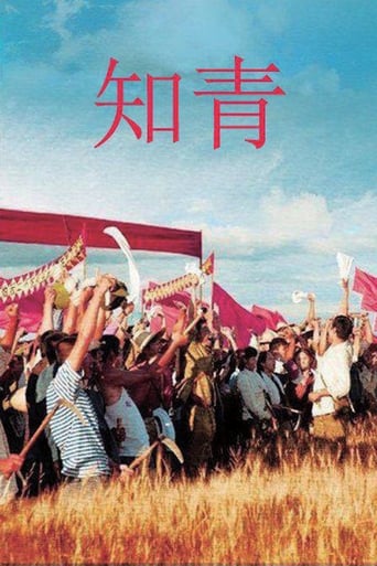 Poster of 知青