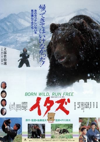 The Forest of the Little Bear (1987)