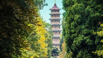 Kew Gardens: A Year in Bloom (2021- )