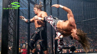 #6 WWE SummerSlam