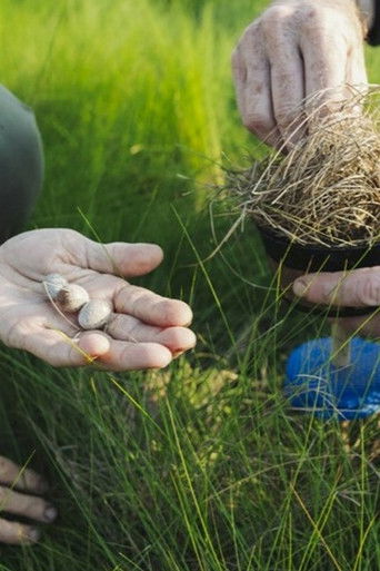 Cartell de Between Moon Tides