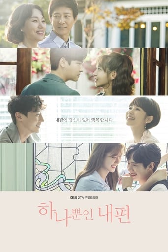 Poster of 하나뿐인 내편