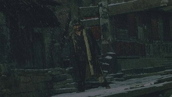 #48 Містечко Гібіскусів
