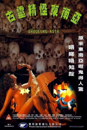 《古灵精怪东南亚》海报