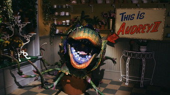 Little Shop of Horrors backdrop 6