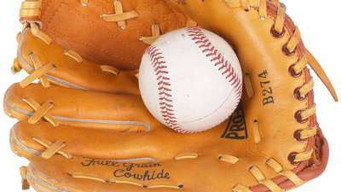 Car Siberia to Sahara; Baseball Gloves