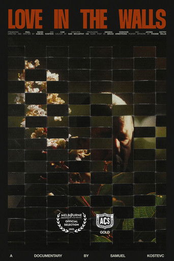 Love in the Walls (2025)