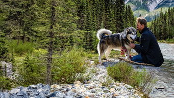 Galeria 2 - Hero Dog: The Journey Home