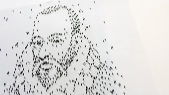 Art for Change (2019- )