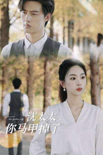 沈太太，你马甲掉了 poster