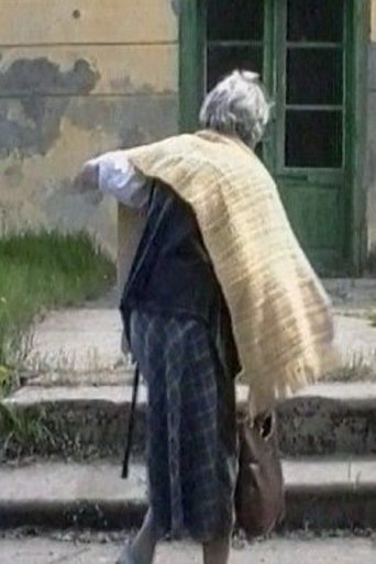 The Notebook of a Lady The Notebook of a Lady