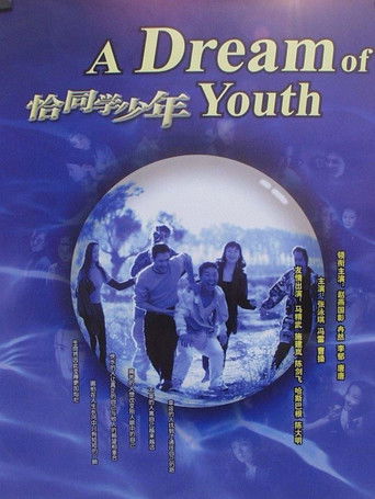 A Dream of Youth poster