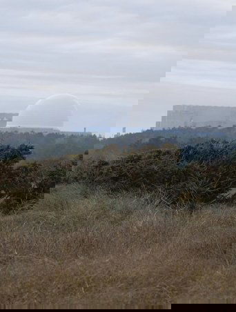 Immaterial Terrain