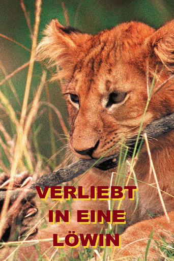 Verliebt in eine Löwin poster
