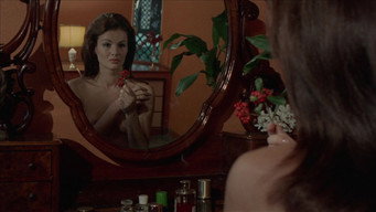 The Cat in Heat (1972)
