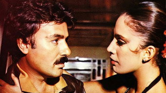 Hasret Sancisi (1982)